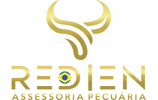 Redien Assessoria