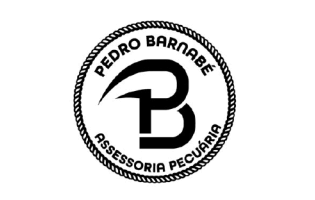 Pedro Barnabé Assessoria