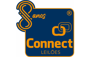Connect Leiloes