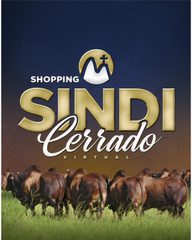 Shopping Sindi Cerrado Virtual