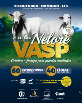 2º Leilão Nelore Vasp