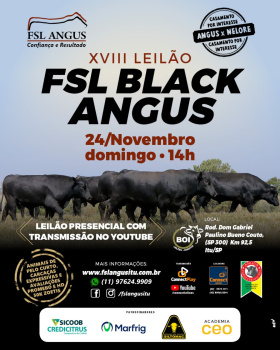 XVIII Leilão FSL Black Angus