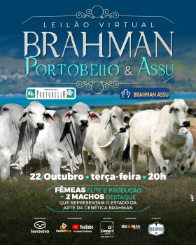 Leilão Brahman Portobello & Assu