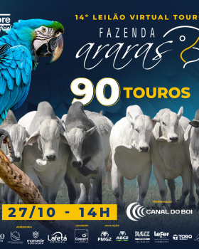 14º Leilão Virtual Touros Fazenda Araras