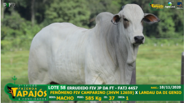 Lote 58