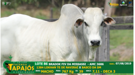 Lote 86