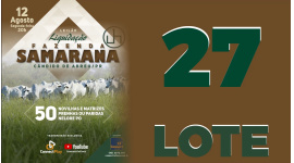 Lote 27