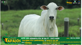 Lote 104