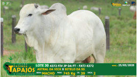 Lote 30
