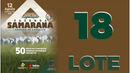 Lote 18