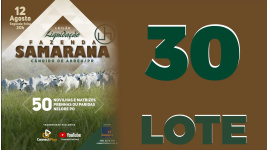 Lote 30