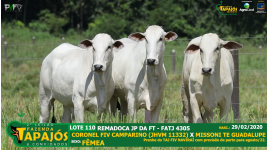 Lote 110
