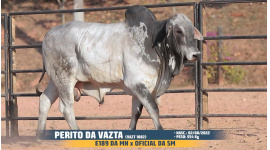 Lote 23