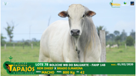 Lote 78