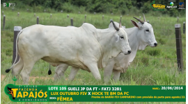 Lote 105