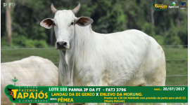 Lote 103