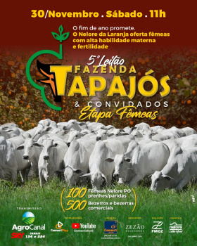 5º Leilão Fazenda Tapajós & Convidados - Etapa Fêmeas