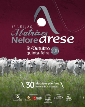 1º Leilão Matrizes Nelore Arese