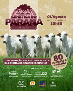 3º Matrizes Genética do Paraná