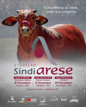 2º Leilão Sindi Arese - Genética