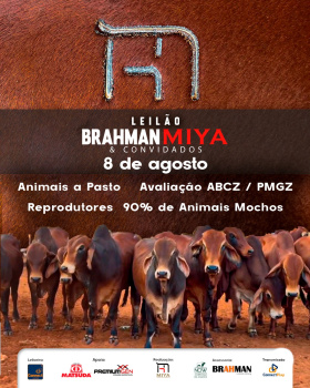 Leilão Brahman Miya & Convidados - Machos