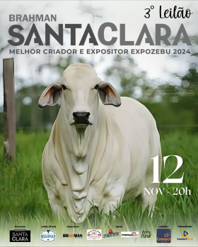 3º Leilão Brahman Santa Clara