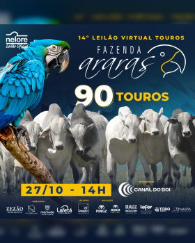 14º Leilão Virtual Touros Fazenda Araras