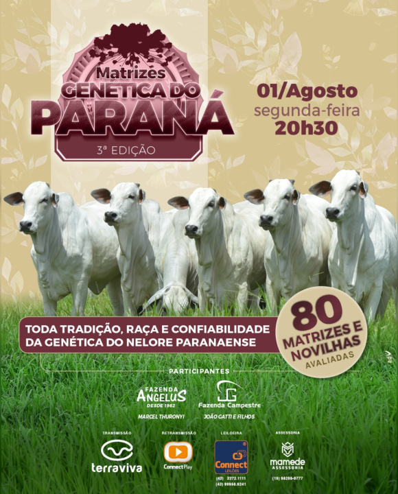 3º Matrizes Genética do Paraná