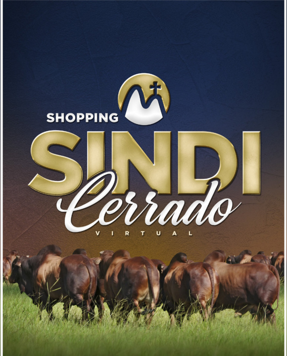 Shopping Sindi Cerrado Virtual