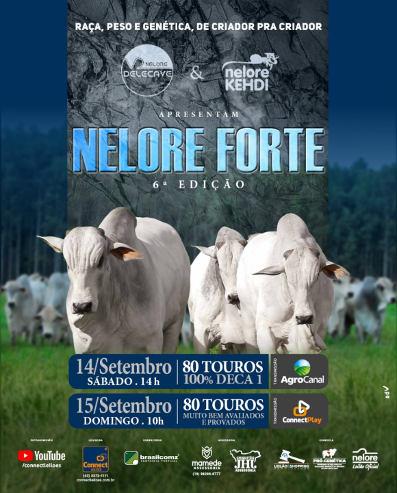 6º Edição Leilão Nelore Forte - 2º Etapa