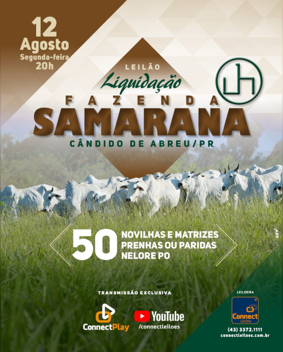 Liquidação Fazenda Samarana