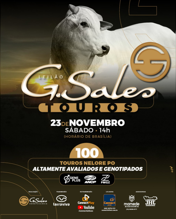 Leilão Touros G.Sales - Touros