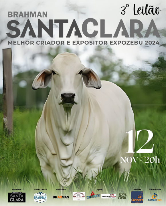 3º Leilão Brahman Santa Clara