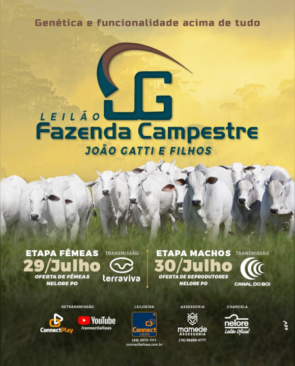 Leilão Fazenda Campestre - Etapa Machos