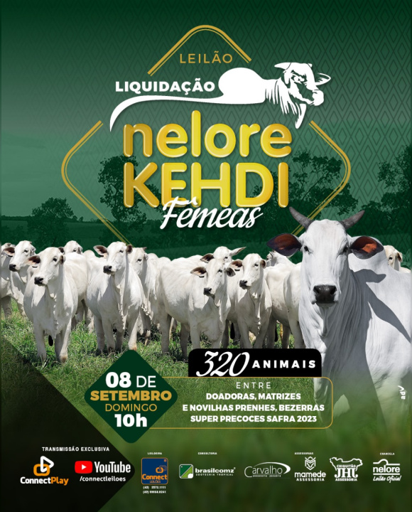 Liquidação Nelore Kehdi - Fêmeas