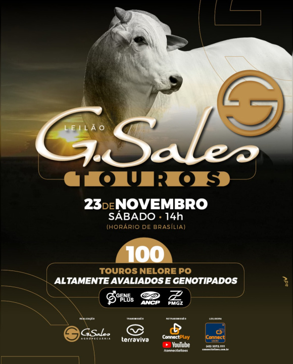 Leilão Touros G.Sales - Touros