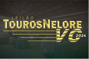 Terra Pecuária - Cobertura Leilão Touros Nelore VC 2024