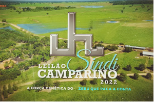 Matéria Terra Pecuária - Leilão Sindi Camparino 2022