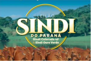 Leilão Sindi do Paraná