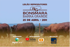 Matéria - Leilão Reprodutores Bonsmara Barra Grande