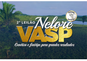 Matéria Terra Pecuária - 2º Leilão Nelore VASP