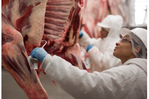 Em 2024 produção de carne Bovina no Brasil deve ter aumento de 7,3% em comparação a 2023